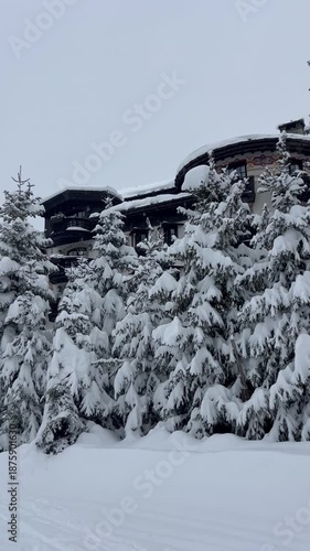 Skier recording while skiing between the snowy pine trees in French alps, Courchevel ski resort, Les Arielles hotel, French alps, France