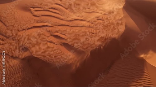 Serene desert sand ripples under soft light