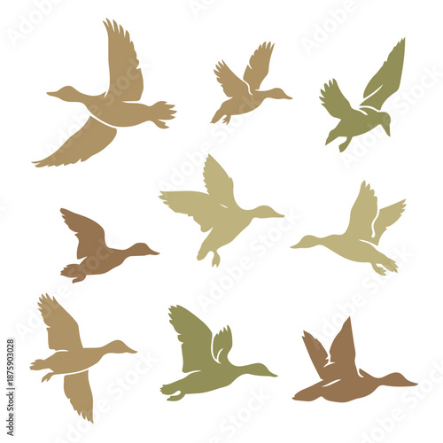 DUCKS_0001