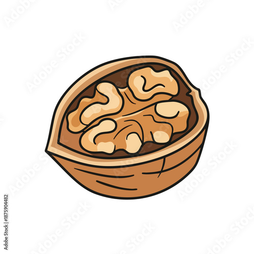 Illustration of a walnut shell with nut inside