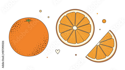 Fresh whole orange and sliced citrus fruit pieces are displayed in a clean hand drawn style on a white background.