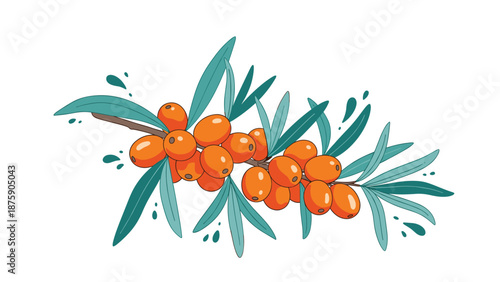 Branch of sea buckthorn with bright orange berries and green leaves is depicted in a detailed artistic illustration with splashes.