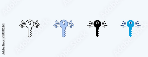 Encryption Key Multiple Icon Illustration Vector