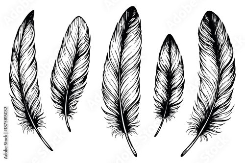 Hand drawn line art feather set featuring various elegant plumes for bohemian design