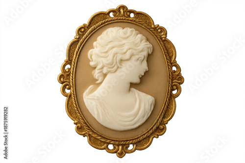 Vintage cameo depicting woman's profile in gold frame