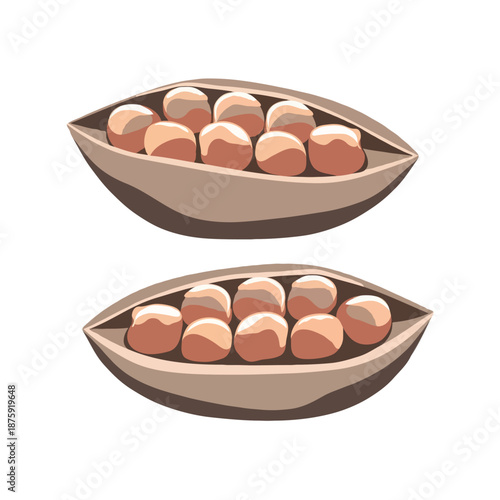 Two bowls of nuts isolated on white background, Vector, illustration