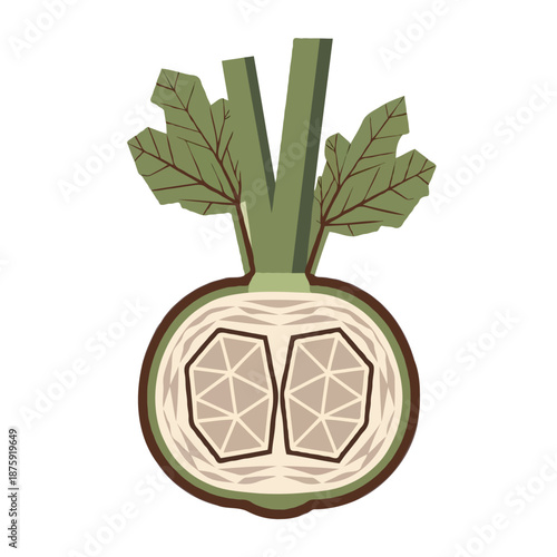 Illustrated vegetable with geometric design isolated on white background, Vector, illustration