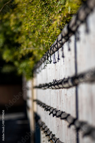 鎌倉26110　宝戒寺6　竹塀