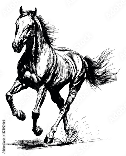 Hand drawn line art illustration of a horse depicting a powerful gallop for equestrian and sports themes