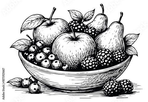 Hand drawn line art fruit bowl set featuring apples, pears, blackberries, and currants for healthy lifestyle and natural food concepts