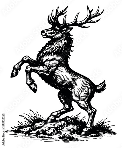 Hand drawn line art illustration of a majestic stag depicting power for vintage heraldry