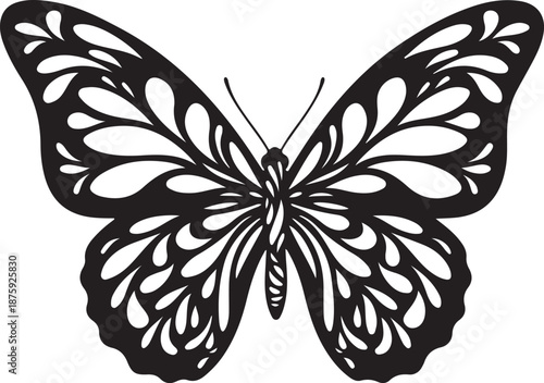 Elegant butterfly aesthetic silhouettes featuring graceful wings and artistic forms