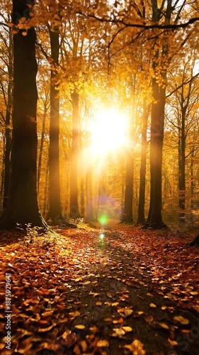 Sun-drenched autumn forest path with golden leaves, tall trees, and radiant lens flare