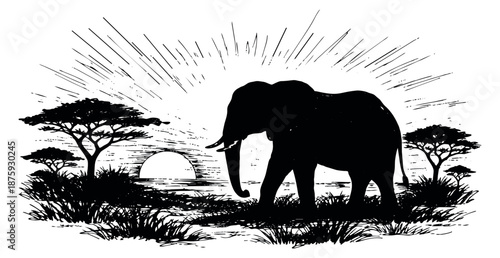 Hand drawn line art illustration of an elephant depicting a safari sunset for african wildlife