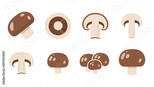 Collection of flat design illustrations of various mushrooms, showing different angles and cuts