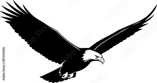 eagle on white background