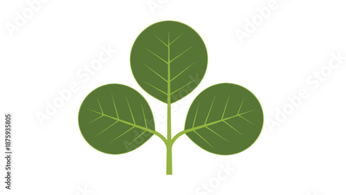 Minimalist graphic illustration of three round green leaves on a single stem arranged in a symmetrical trefoil pattern on white background.