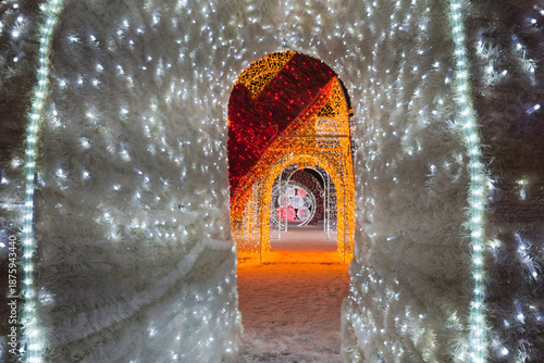 Vibrant Festive Light Tunnel