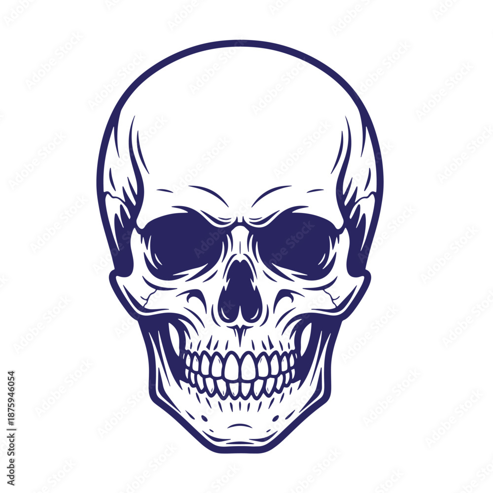 Fototapeta premium human skull illustration with detailed bone structure and facial expression isolated on transparent background
