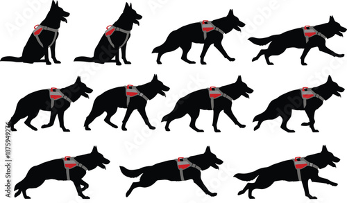 German Shepherd silhouette set, working dog in harness, various poses including sitting, walking, trotting, running, and jumping, pet service dog vector.