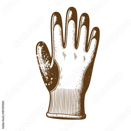 Drawing Vintage Brown glove with ribbed cuff and textured palm isolated on white background