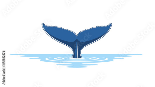 Blue whale tail fin emerging from calm ocean water with ripples.
