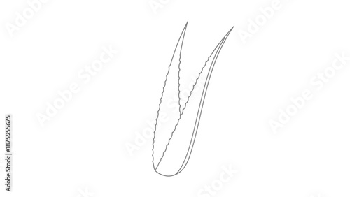 Detailed close-up illustration of a human hair follicle structure.