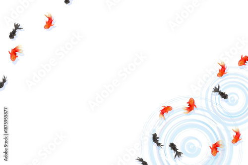 Top view of goldfish swimming with water ripples, minimal Japanese style illustration