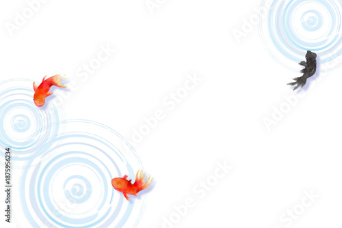Top view of goldfish swimming with water ripples, minimal Japanese style illustration