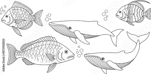 A black and white illustration of various freshwater fish species swimming together in a simplified style