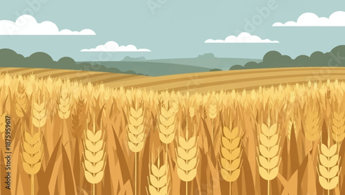 Golden wheat field landscape with rolling hills and sky.
