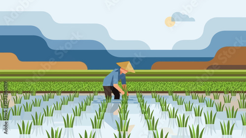 Farmer working in a rice paddy field with mountains in the background.