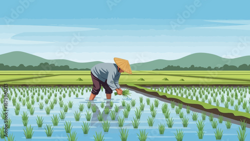 Farmer working in a serene rice paddy field landscape.