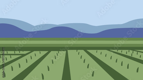 Agricultural landscape with rows of crops and distant mountains.