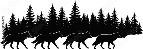 Silhouette of four wolves walking in line through forest landscape with conifer trees, symbolizing wildlife, nature, pack behavior, and wilderness in vector art