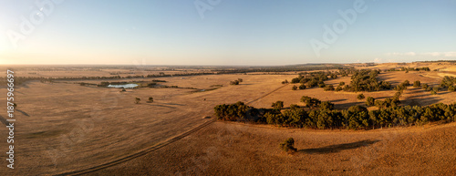 Принти на полотні Aerial view over a Cattle Farmland in the Evening Sun, Gingin, Wheatbelt, Westau