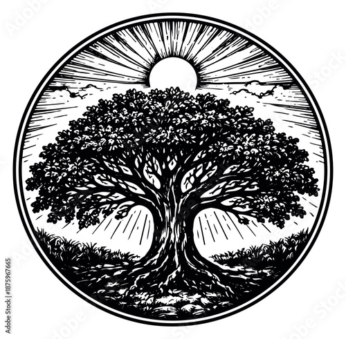 Hand drawn line art illustration of an ancient tree emblem depicting deep roots, a strong trunk, and a shining sun within a circle for ecological and spiritual concepts