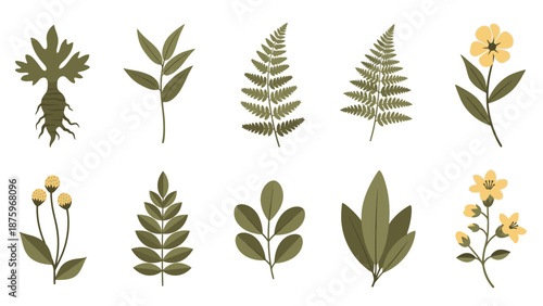 Collection of various green leaves and yellow flowers arranged in a grid pattern