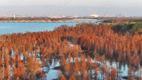 Metasequoia Aquatic Forest Scenic Area, Nanhu Wetland Park, Wuxi, China