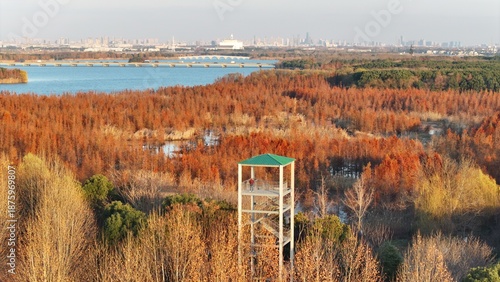Wuxi Nanhu Wetland Park Aquatic Forest & Redwood Scenic Viewpoint
