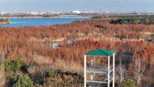 Wuxi Nanhu Wetland Park Aquatic Forest & Redwood Scenic Viewpoint