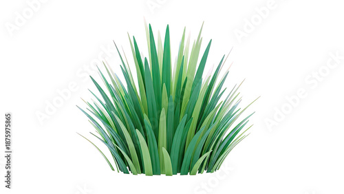 Lush green grass clump