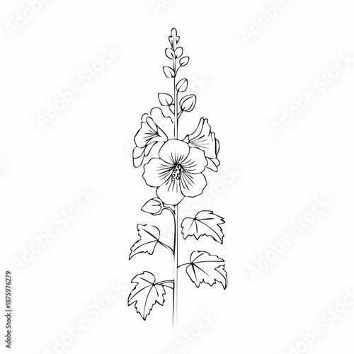 Hollyhock flower stem with leaves and buds