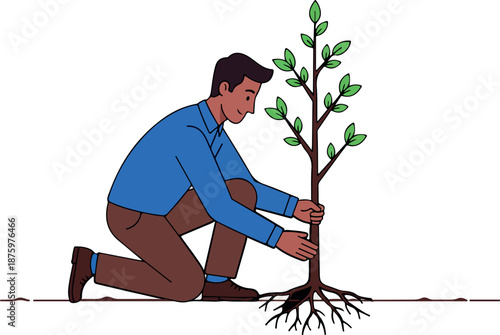 Man Planting A Young Tree
