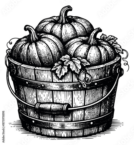 Hand drawn line art illustration of pumpkins in a wooden bucket depicting a bountiful harvest for autumn celebration