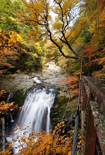滝と紅葉が美しい秋のみたらい渓谷