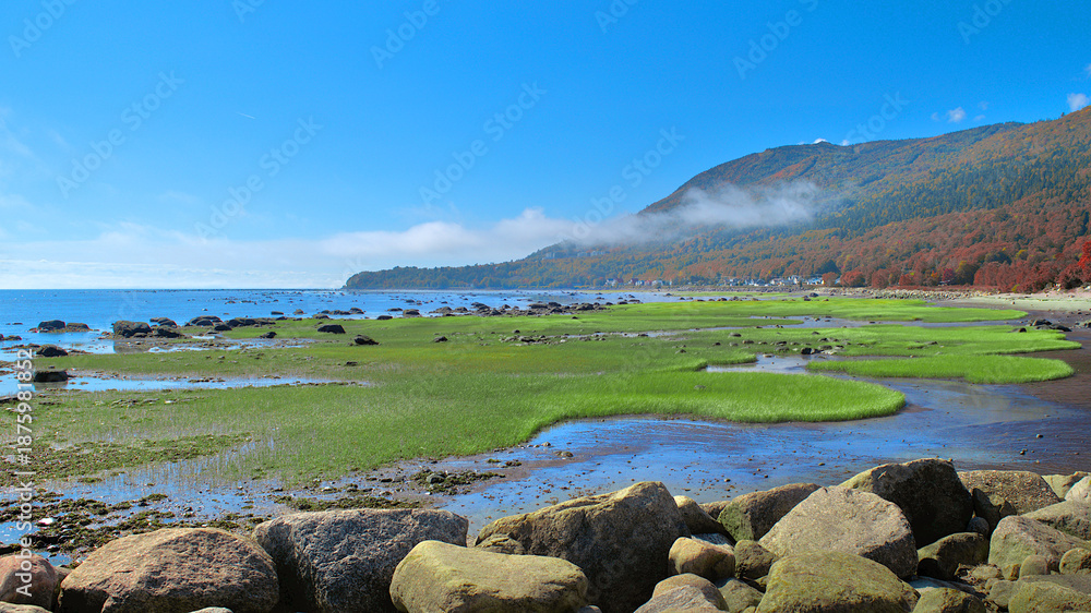 Φωτογραφία An autumn view of the riverbank of St Lawrence River, Canada, with green grass i