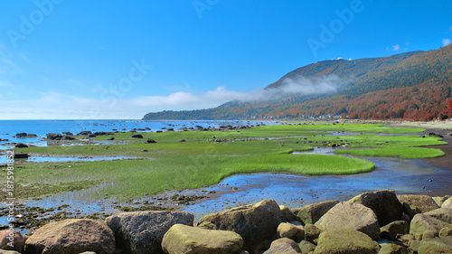 Fotografía An autumn view of the riverbank of St Lawrence River, Canada, with green grass i