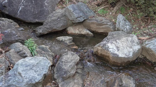 福富川公園　2025年12月
