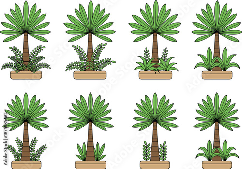 Vector illustration set of eight stylized palm trees in planters featuring fan fronds rounded leaves and tropical undergrowth plants